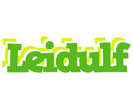 Leidulf picnic logo