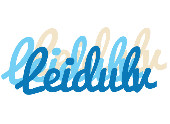 Leidulv breeze logo