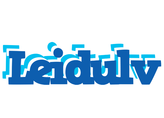 Leidulv business logo
