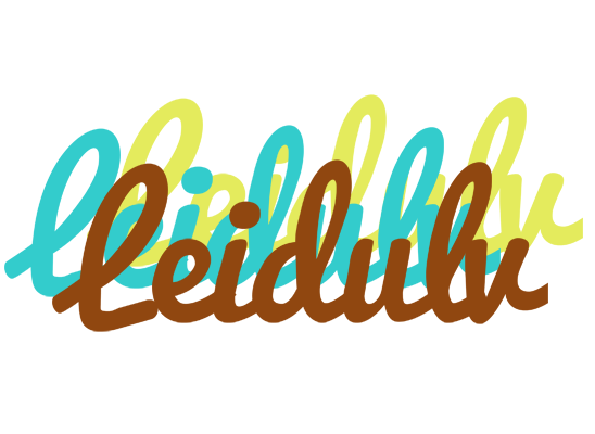 Leidulv cupcake logo
