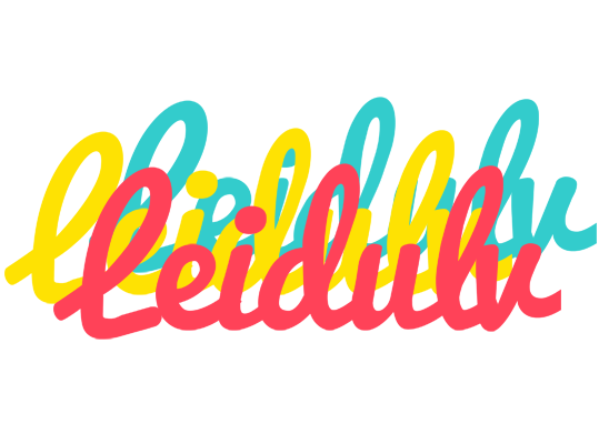 Leidulv disco logo