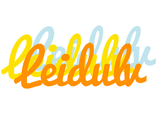 Leidulv energy logo