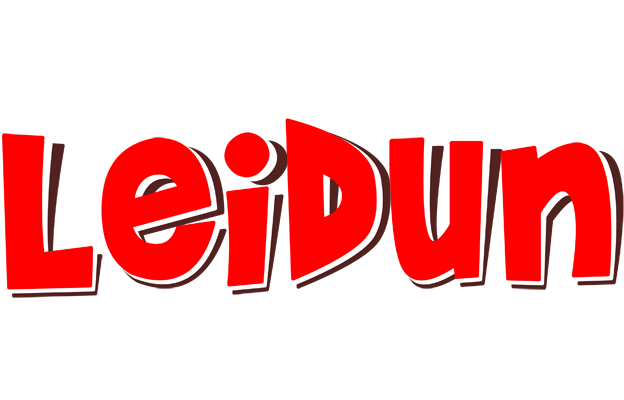 Leidun basket logo