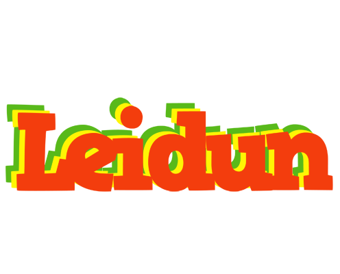 Leidun bbq logo