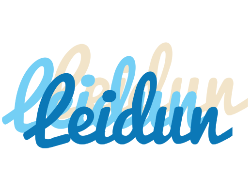 Leidun breeze logo