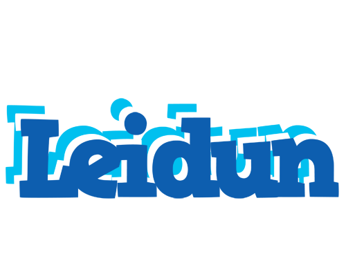 Leidun business logo
