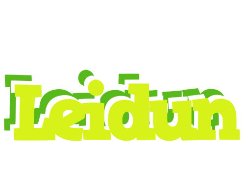Leidun citrus logo