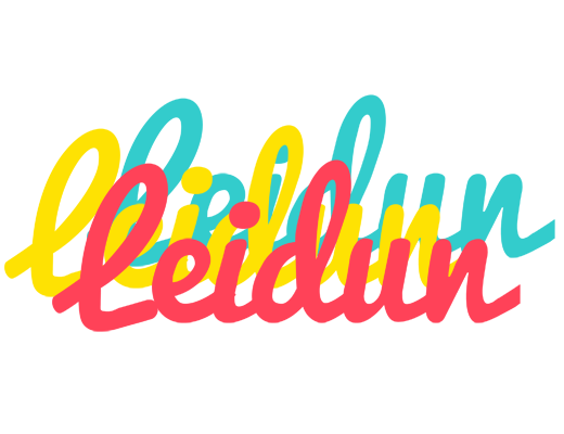 Leidun disco logo