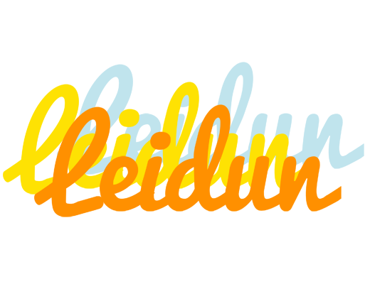 Leidun energy logo