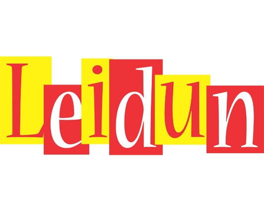 Leidun errors logo