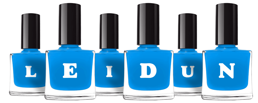 Leidun glossy logo