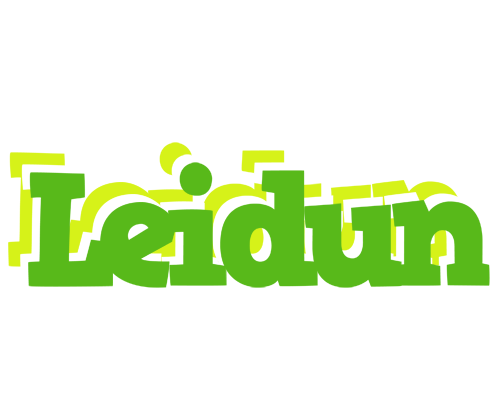Leidun picnic logo