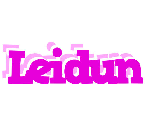 Leidun rumba logo
