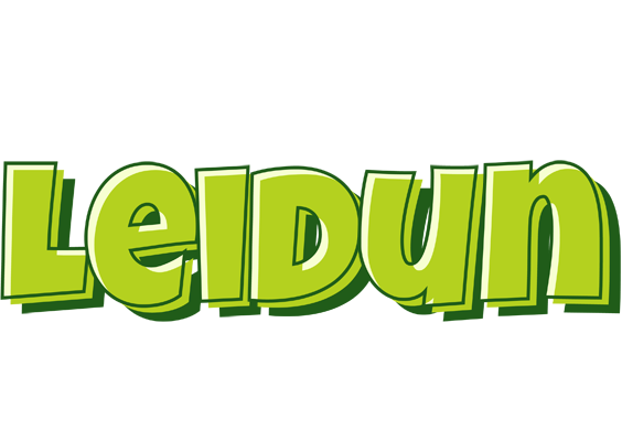 Leidun summer logo