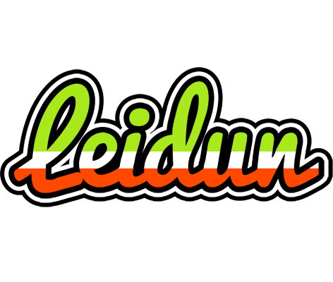 Leidun superfun logo