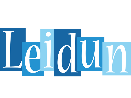 Leidun winter logo