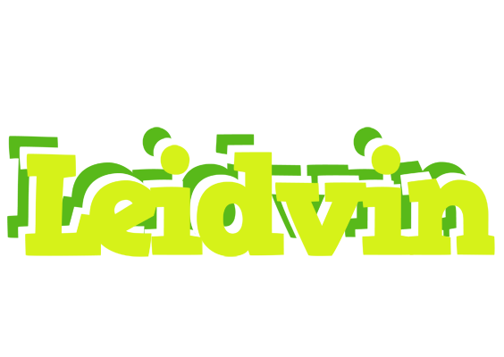 Leidvin citrus logo