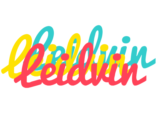 Leidvin disco logo