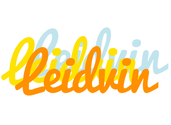 Leidvin energy logo