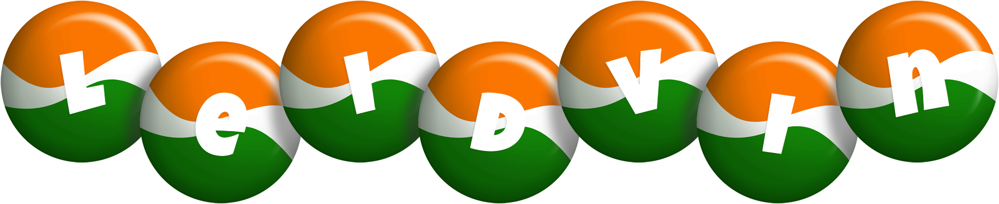 Leidvin india logo