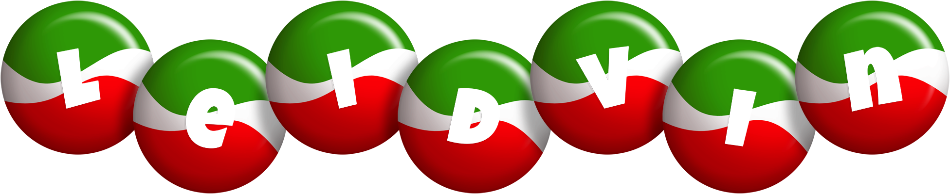 Leidvin italy logo