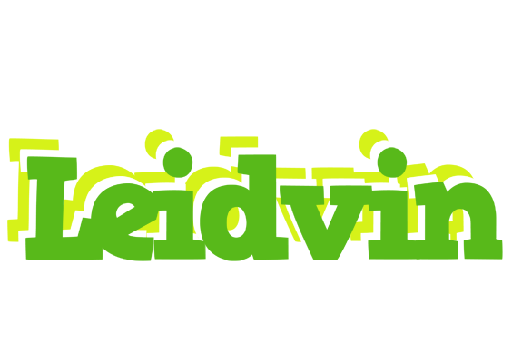 Leidvin picnic logo