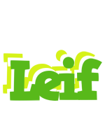 Leif picnic logo