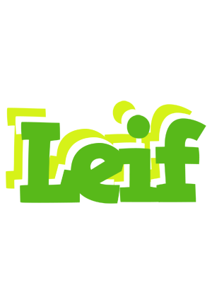 Leif picnic logo