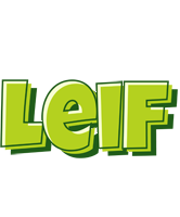 Leif summer logo