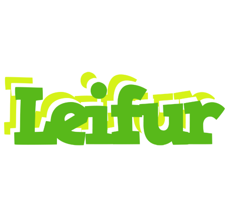 Leifur picnic logo