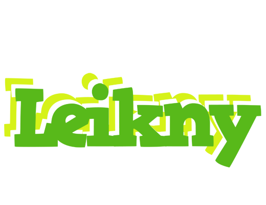 Leikny picnic logo