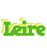 Leire picnic logo