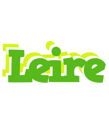 Leire picnic logo