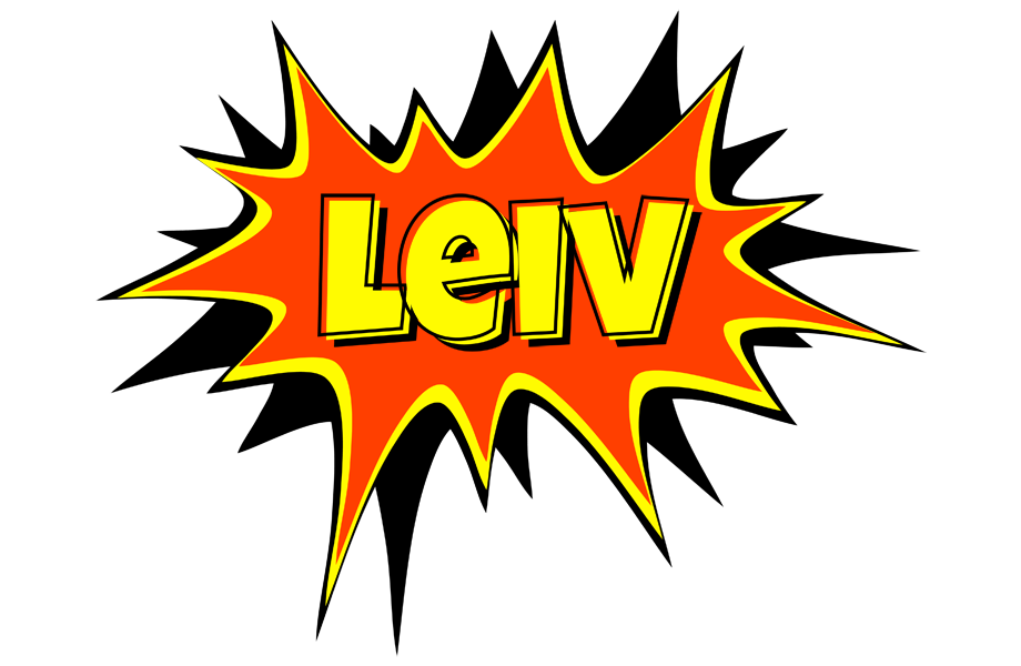 Leiv bazinga logo