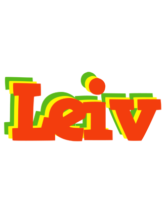 Leiv bbq logo