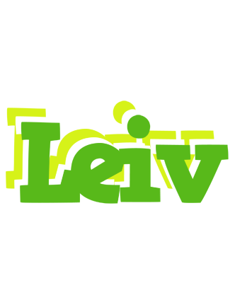 Leiv picnic logo