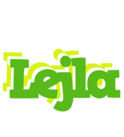 Lejla picnic logo