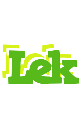Lek picnic logo
