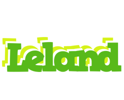 Leland picnic logo