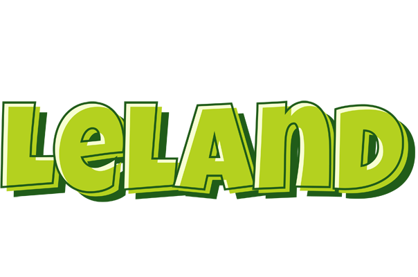 Leland summer logo
