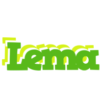 Lema picnic logo