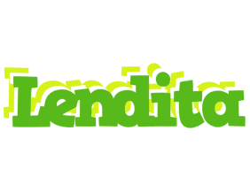 Lendita picnic logo