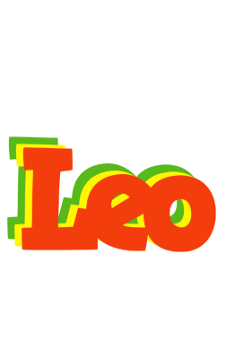 Leo bbq logo