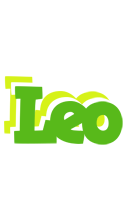 Leo picnic logo