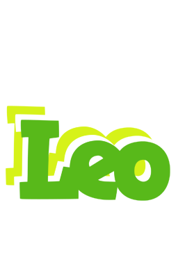 Leo picnic logo