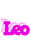 Leo rumba logo