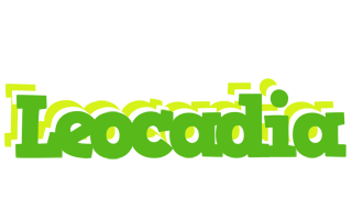 Leocadia picnic logo
