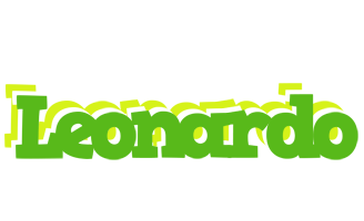 Leonardo picnic logo