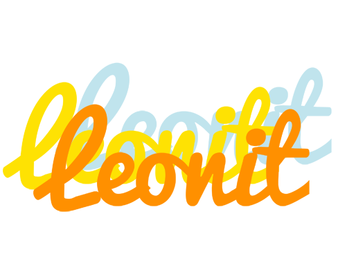 Leonit energy logo