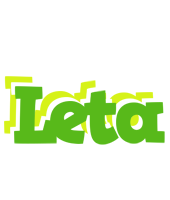 Leta picnic logo